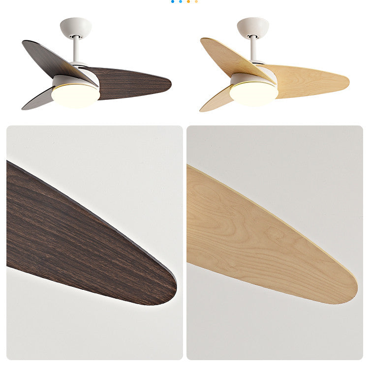 The Meridian Sculptural Ceiling Fan