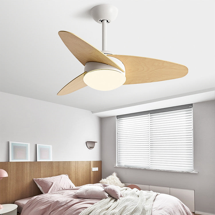 The Meridian Sculptural Ceiling Fan