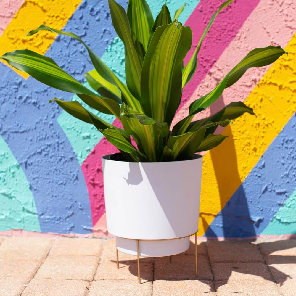 Hopson Medium 10 In. Casper White Plastic Planter with Metal Gold Stand