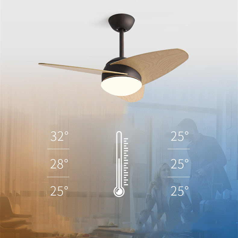 The Meridian Sculptural Ceiling Fan