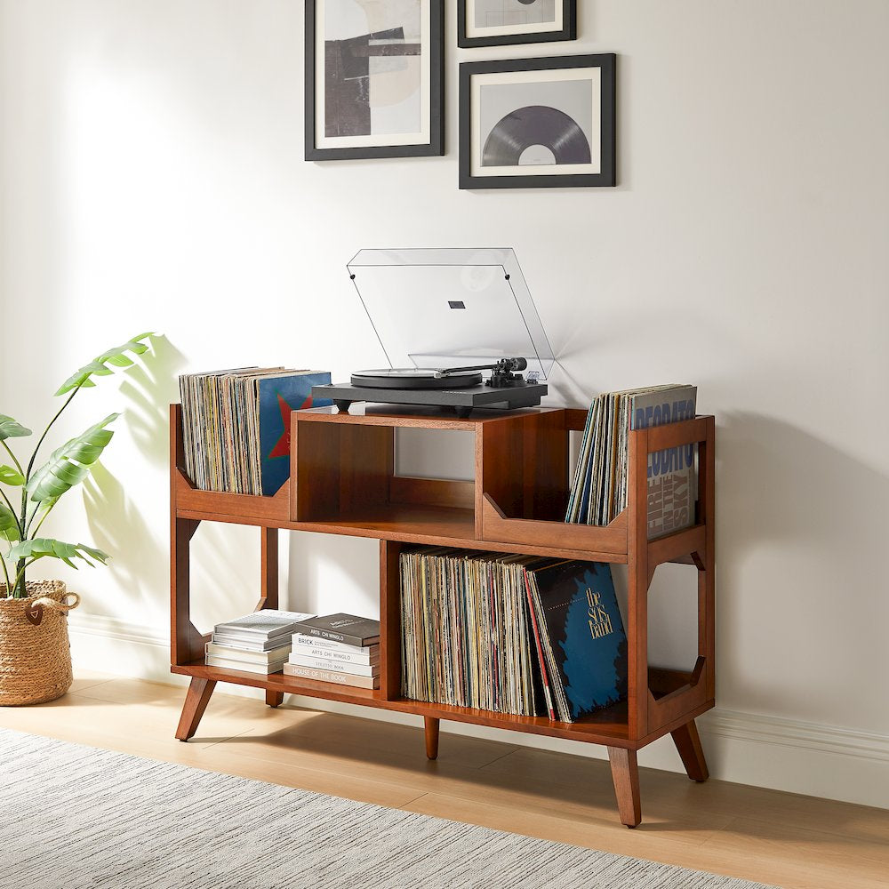 Asheville Mid-Century Modern Media Console Record Player Stand, Storage for Vinyl Records