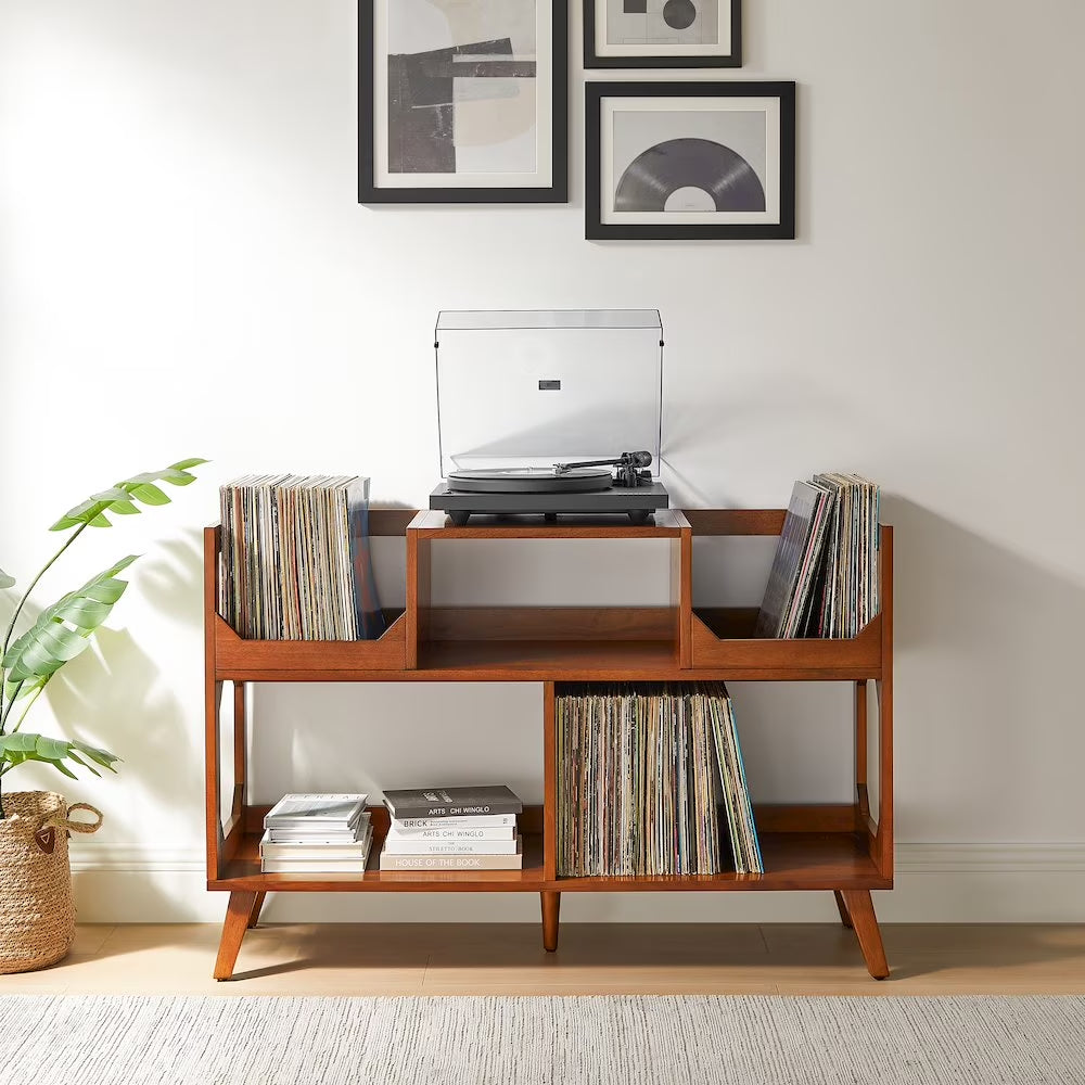 Asheville Mid-Century Modern Media Console Record Player Stand, Storage for Vinyl Records